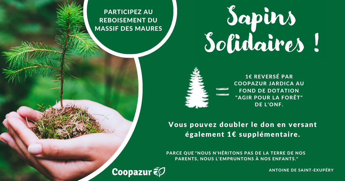 sapin solidaire