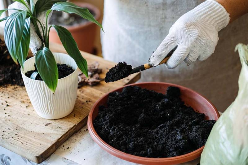 terreau gazon terreau universel pas cher semi substrat cactus orchidée plante verte terreau gazon terreau universel pas cher semi substrat cactus orchidée plante verte