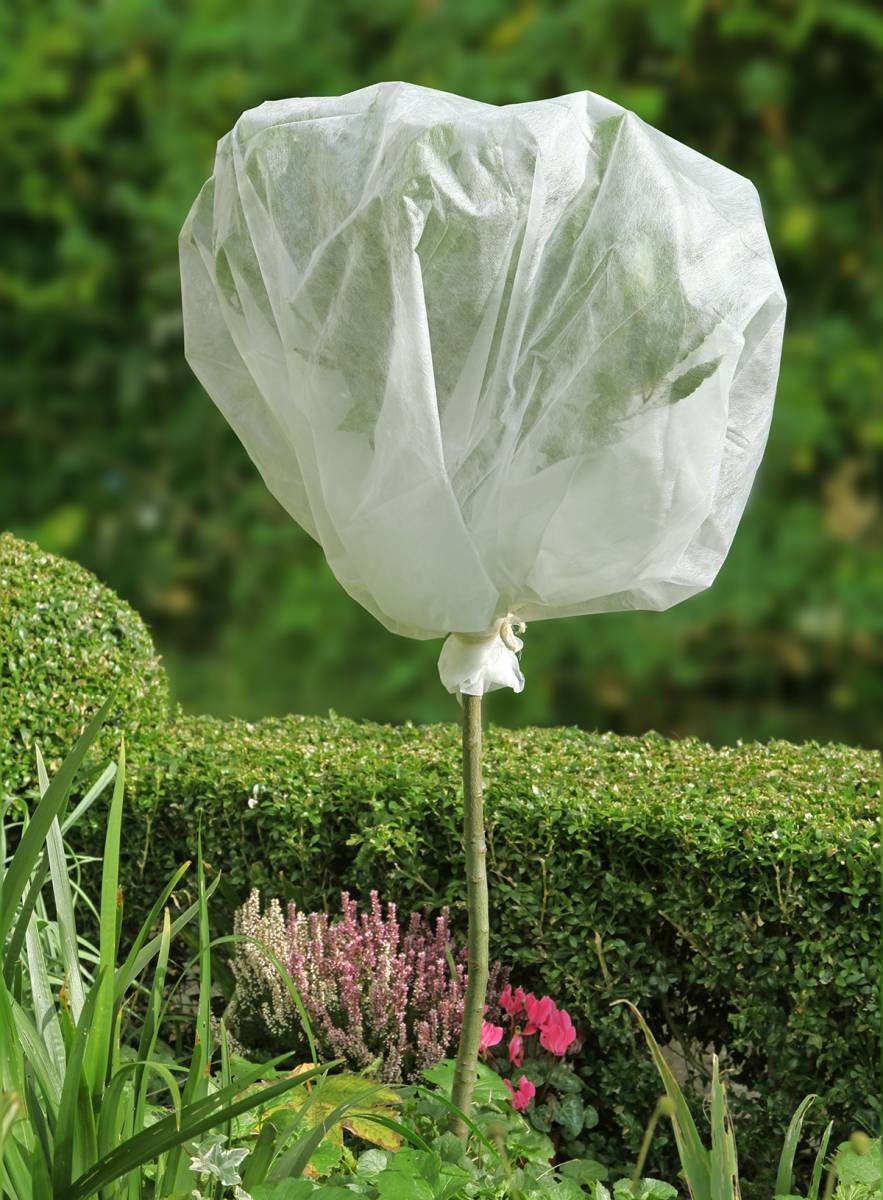 Hiverner ses plantes pour les protéger du froid Hiverner ses plantes pour les protéger du froid