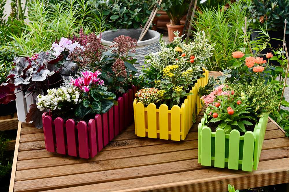 Faire sa propre jardinière d’automne à La Crau proche de Hyères