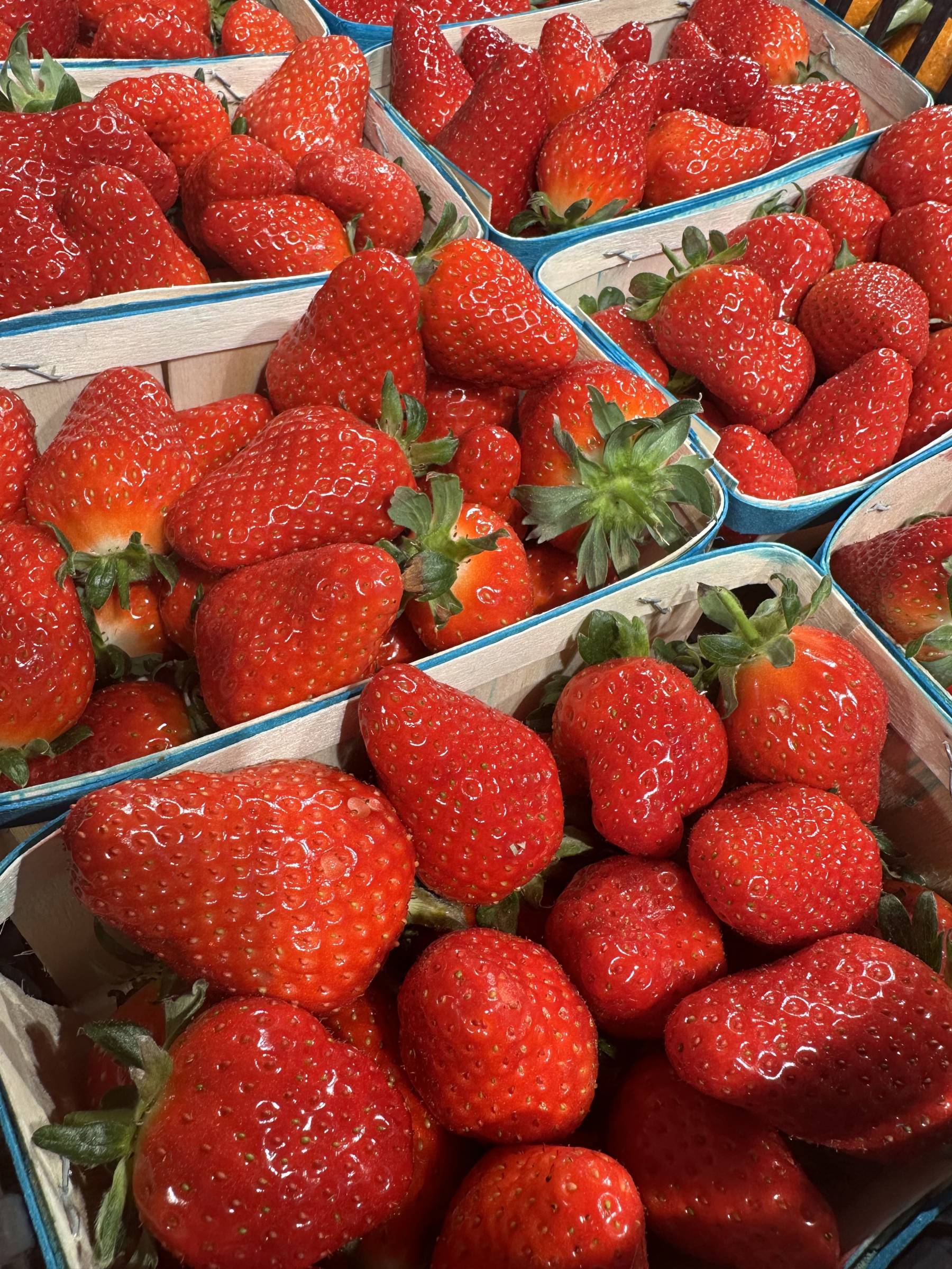 magasin d’alimentation Coopazur Jardica fraises cuers