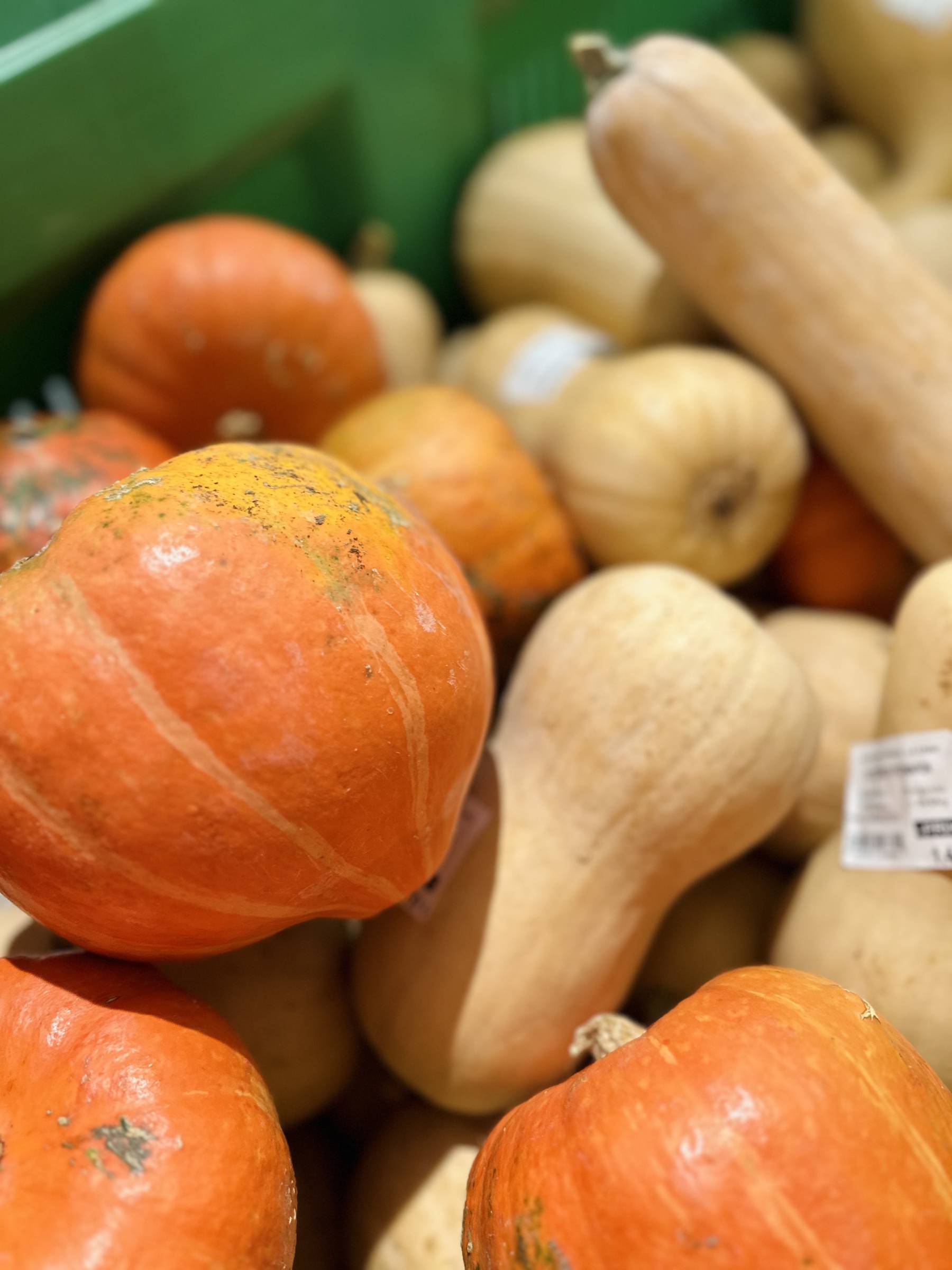 potimarons, courges, locaux à La Crau proche de La Valette-du-Var