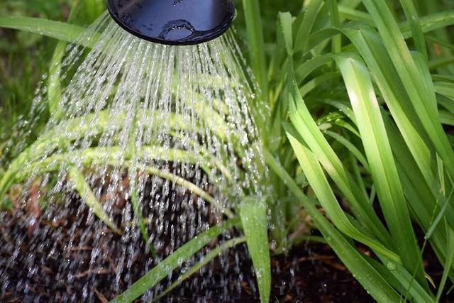 lutter contre la sècheresse au jardin