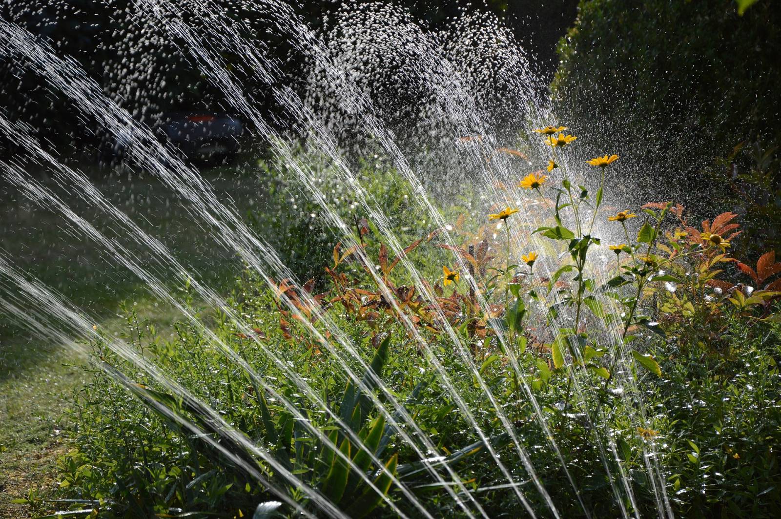 arrosage automatique enterré et arrosage jardin automatique à La Crau Var 
